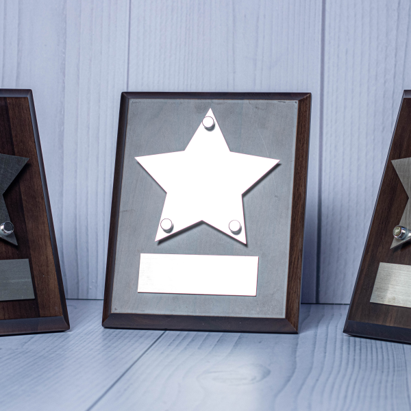 Plaque and Wall Award